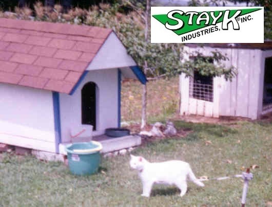 A white cat stands beside a blue-accented doghouse on grass, with a bucket nearby, showcasing a pet-friendly environment.