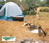 A blue tent sits in a desert landscape, with two dogs nearby and a campfire setup. The scene highlights outdoor camping and pet companionship.