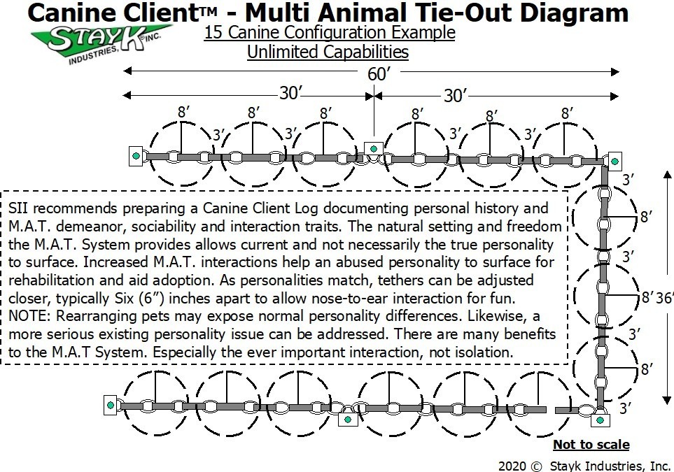 Diagram illustrating a multi-animal tie-out configuration for canines, promoting safe interaction and socialization in a structured environment.