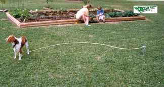 A dog is tethered on a leash in a grassy yard, while two people tend to a garden bed in the background, demonstrating a family-friendly outdoor setting.