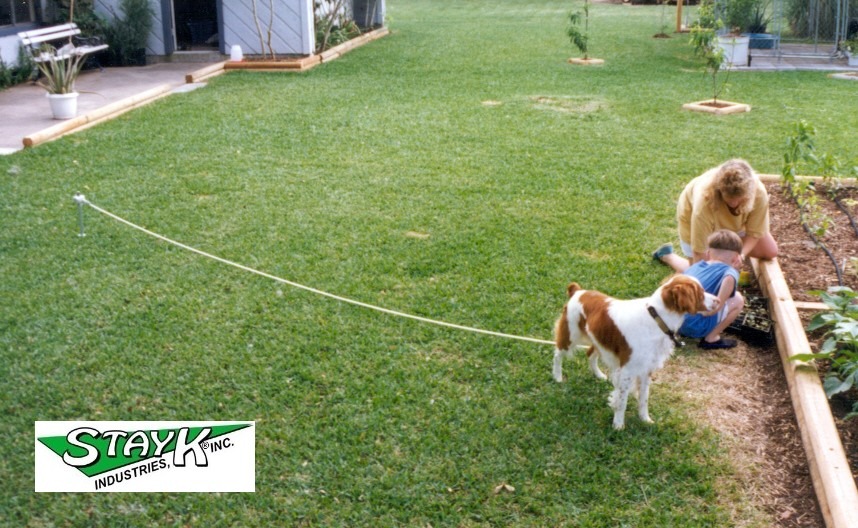 A child and a woman interact in a yard, with a dog nearby on a leash. Lush green grass and garden beds enhance the outdoor scene.