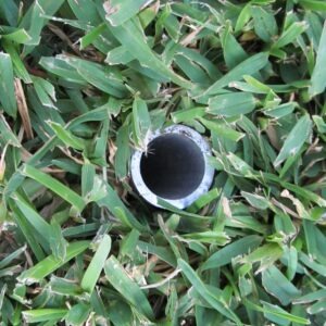 A metal irrigation pipe end is visible among freshly cut green grass, indicating a landscape irrigation system setup.