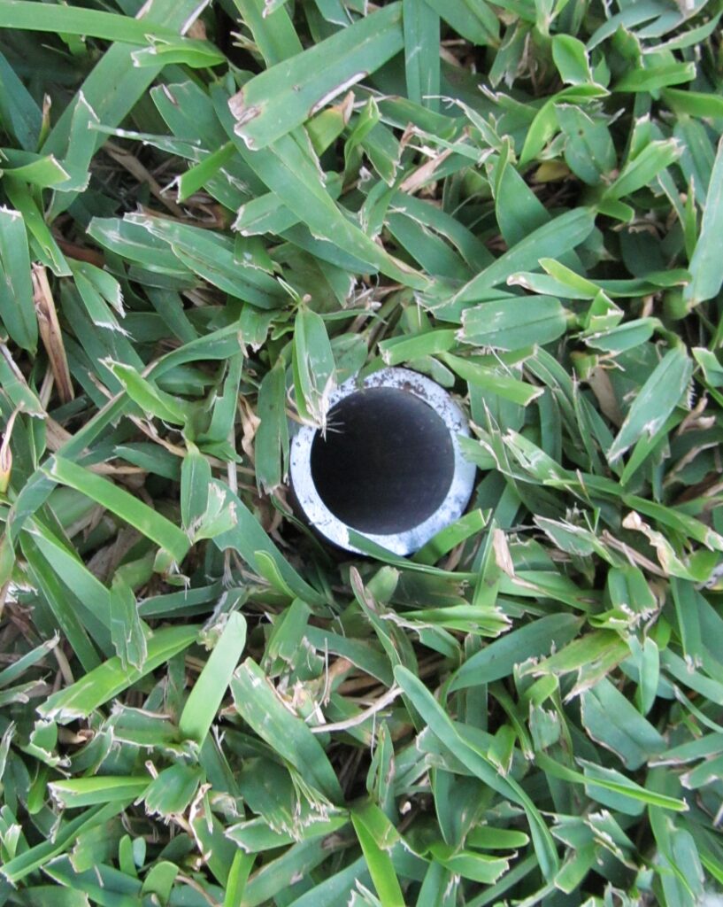 A metal irrigation pipe end is visible among freshly cut green grass, indicating a landscape irrigation system setup.