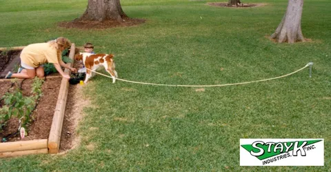 A child and an adult are gardening in a yard, with a dog on a leash nearby. The scene highlights family activities and pet companionship in a green setting.