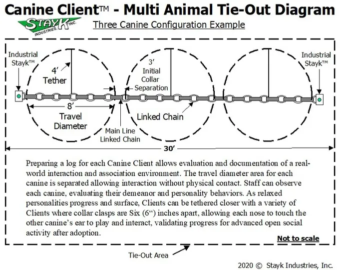 Diagram illustrating the Canine Client™ multi-animal tie-out configuration for three dogs. It shows tethering arrangement and travel diameter for safe interaction.