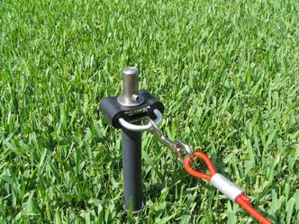 A black dog with a red collar stands on grass beside a retractable leash holder, demonstrating easy outdoor pet management.