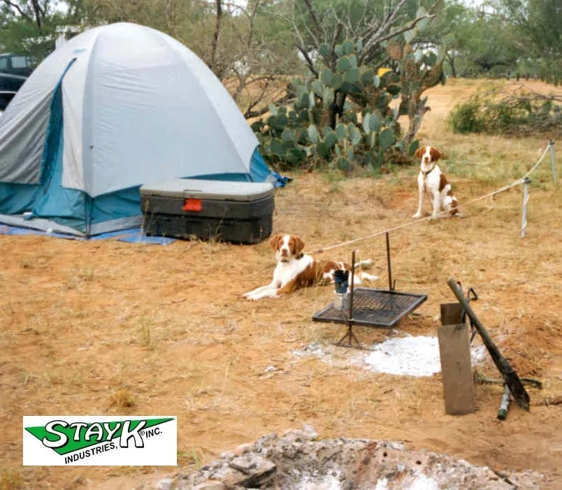 Camping scene featuring a blue tent and two dogs resting nearby. A grill and fire pit are visible, surrounded by desert vegetation, suggesting outdoor recreation.