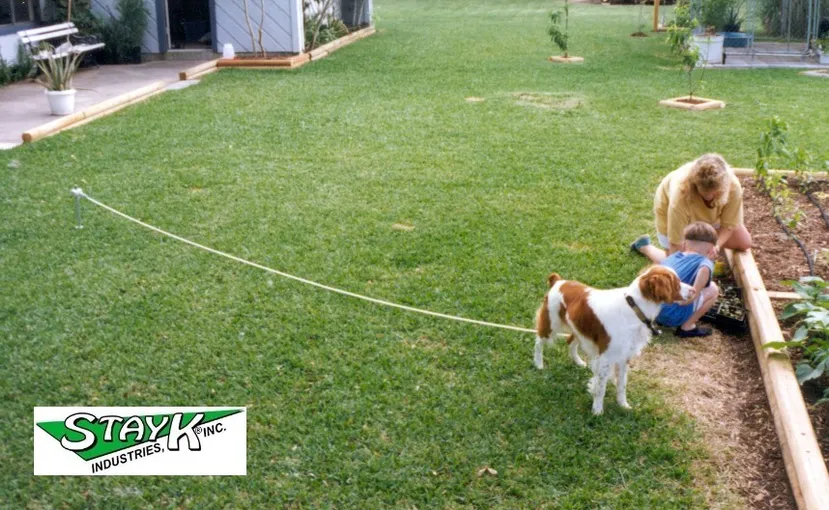 A child and a woman kneel in a grassy yard, tending to plants while a dog observes them. The scene showcases family interaction and gardening.